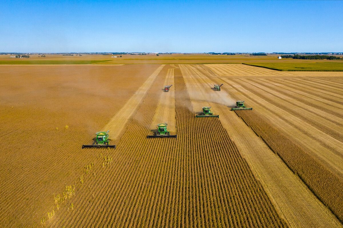 Tractores en un campo de monocultivo de cereal