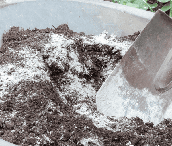 Harina compost