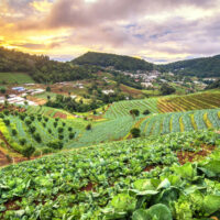 Agricultura ecológica