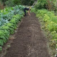 Agricultura biointensiva