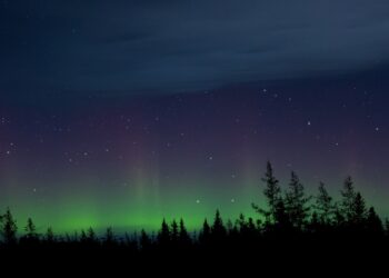 Bosque Boreal (Taiga): Ubicación, Clima, Plantas y Animales