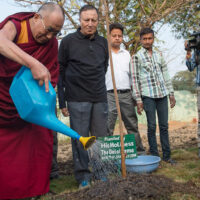 Dalay lama riega un arbol