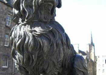 11 de los perros más valientes de la historia