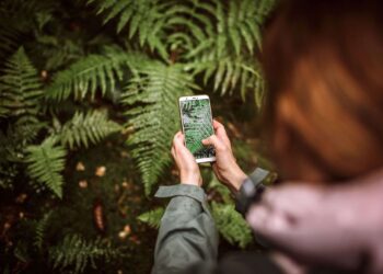 12 aplicaciones que te convertirán en un experto en la naturaleza
