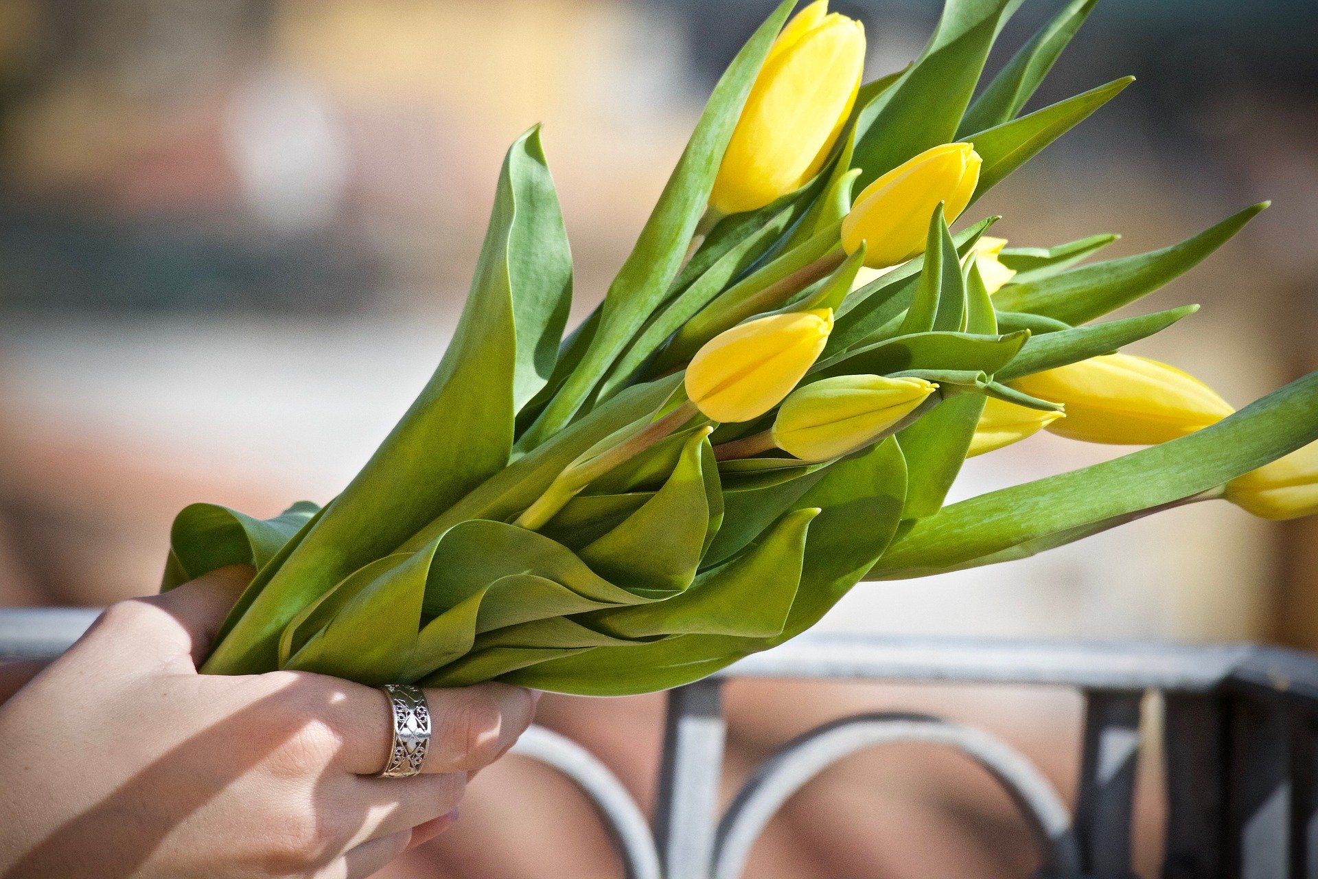 Costos ecológicos y sociales de las flores cortadas