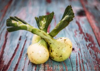 9 restos de cocina para volver a cultivar verduras, reducir el desperdicio de alimentos y ahorrar dinero