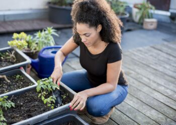 El secreto del cultivo de hortalizas en macetas