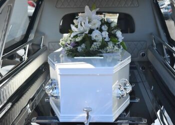 Sea ecológico cuando esté muerto: 10 ideas funerarias ecológicas