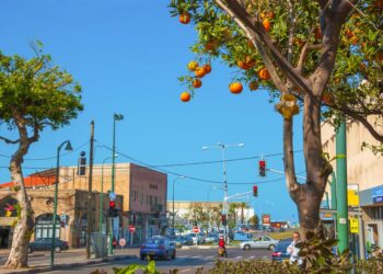 Sunshine Coast Council proyecta una nube oscura sobre el proyecto de huerta urbana