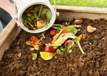 Pruebe el compostaje de Bokashi: una solución práctica para el compost de cocina