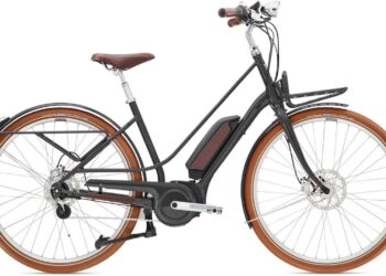 Adelantados a su tiempo: innovaciones Diamant E-Bike 2021