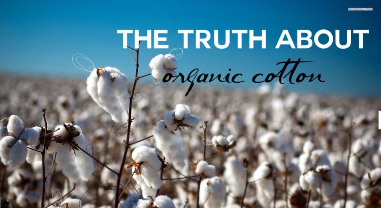 organic-cotton-sustainability-truth