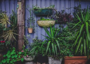 Ideas de diseño de jardines pequeños