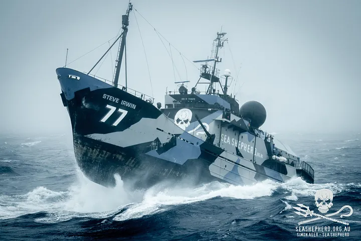 Protegiendo los Océanos: La Misión de Sea Shepherd