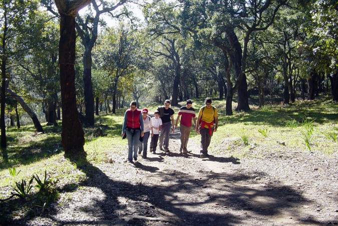 Guía de los Parques Naturales de Cádiz