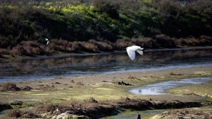 Parque Natural Bahía de Cádiz