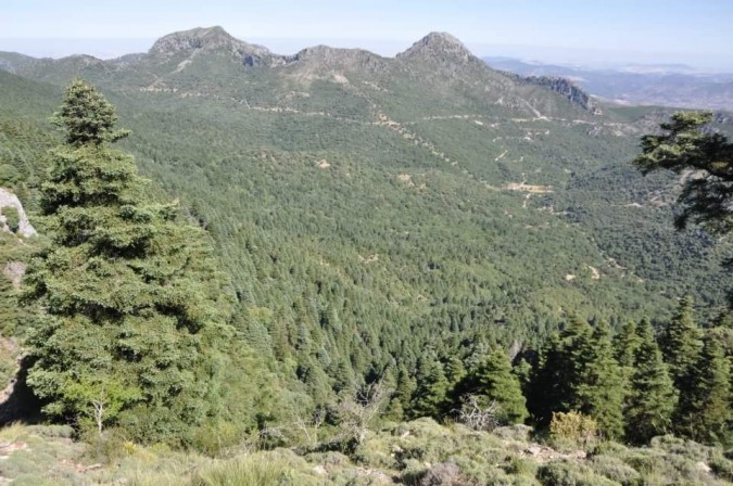 Parque Natural Sierra de Grazalema