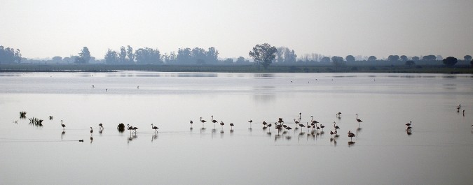 Parque Natural Doñana
